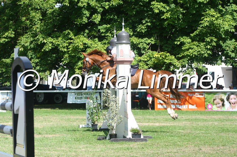 308M3334_Leonardo_Spring Sx.JPG